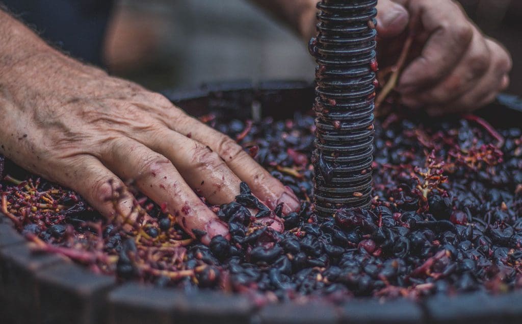 wine making